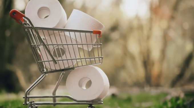 Americans Love Paper Towels – But This Relationship Isn’t Sustainable